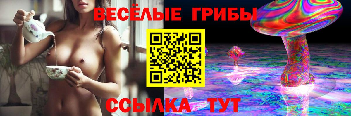 Донской  Псилоцибиновые грибы ЛСД  Галлюциногенные грибы GOLDEN TEACHER  Вход с VPN 