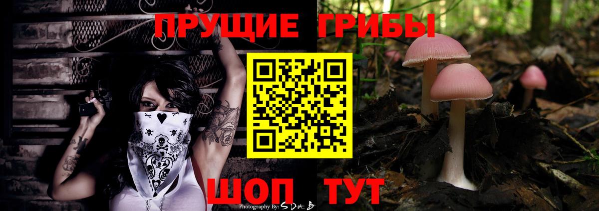 Псилоцибиновые грибы мицелий Донской